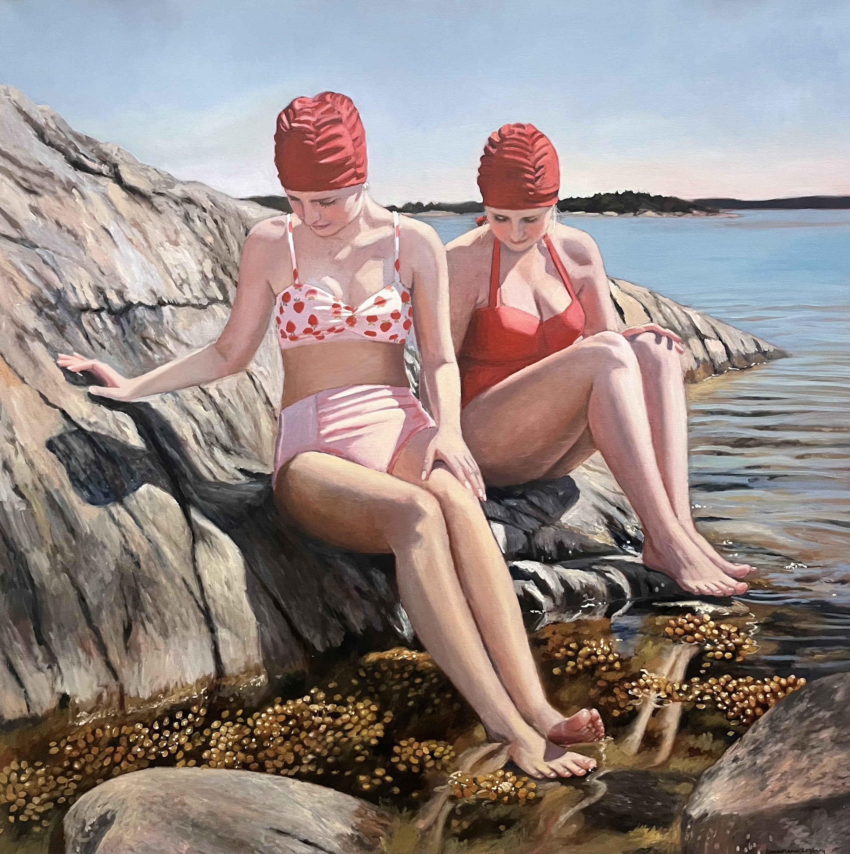 Klippor och Blåstång