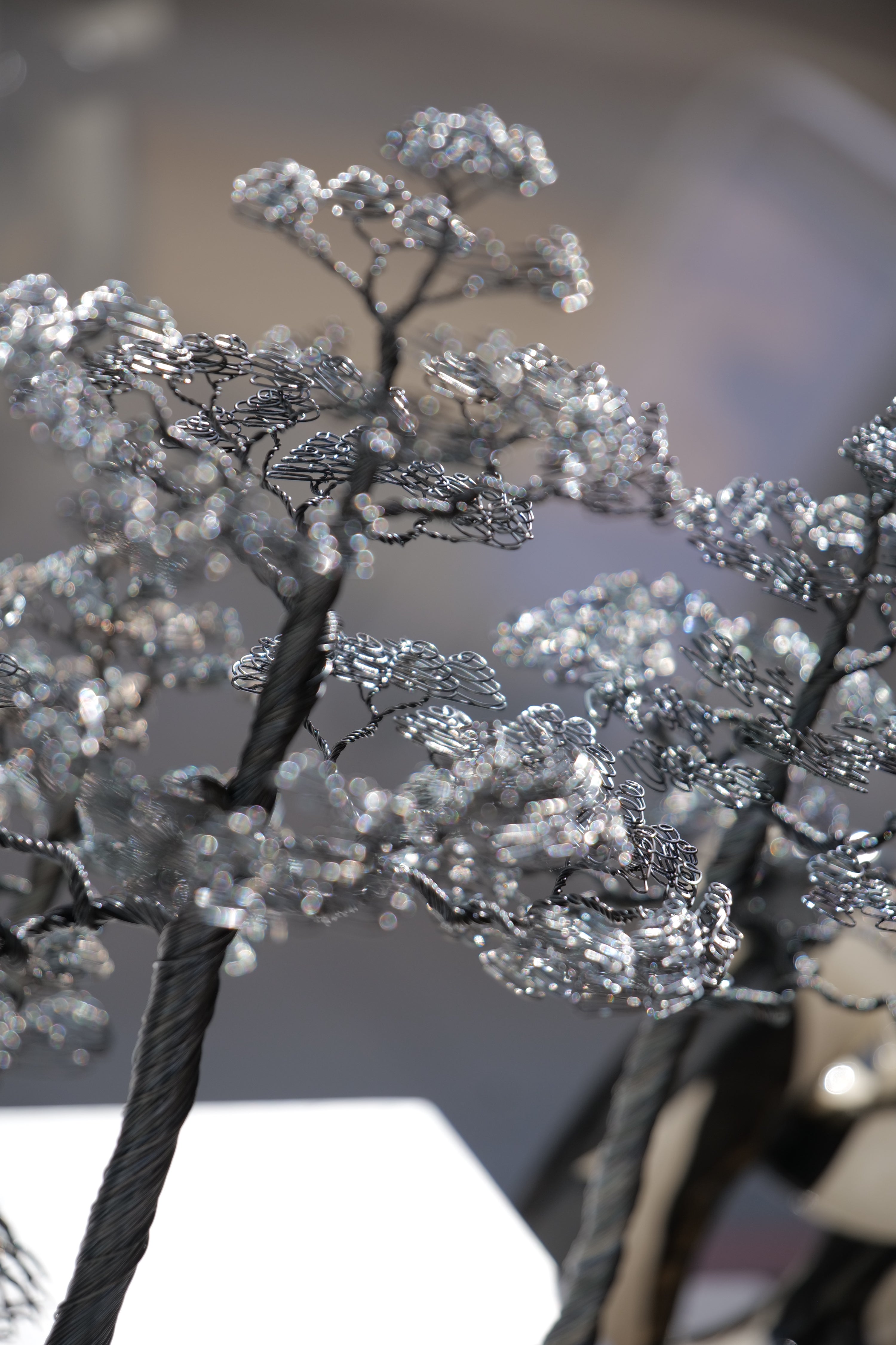 Pine - Black Annealed Iron Wire