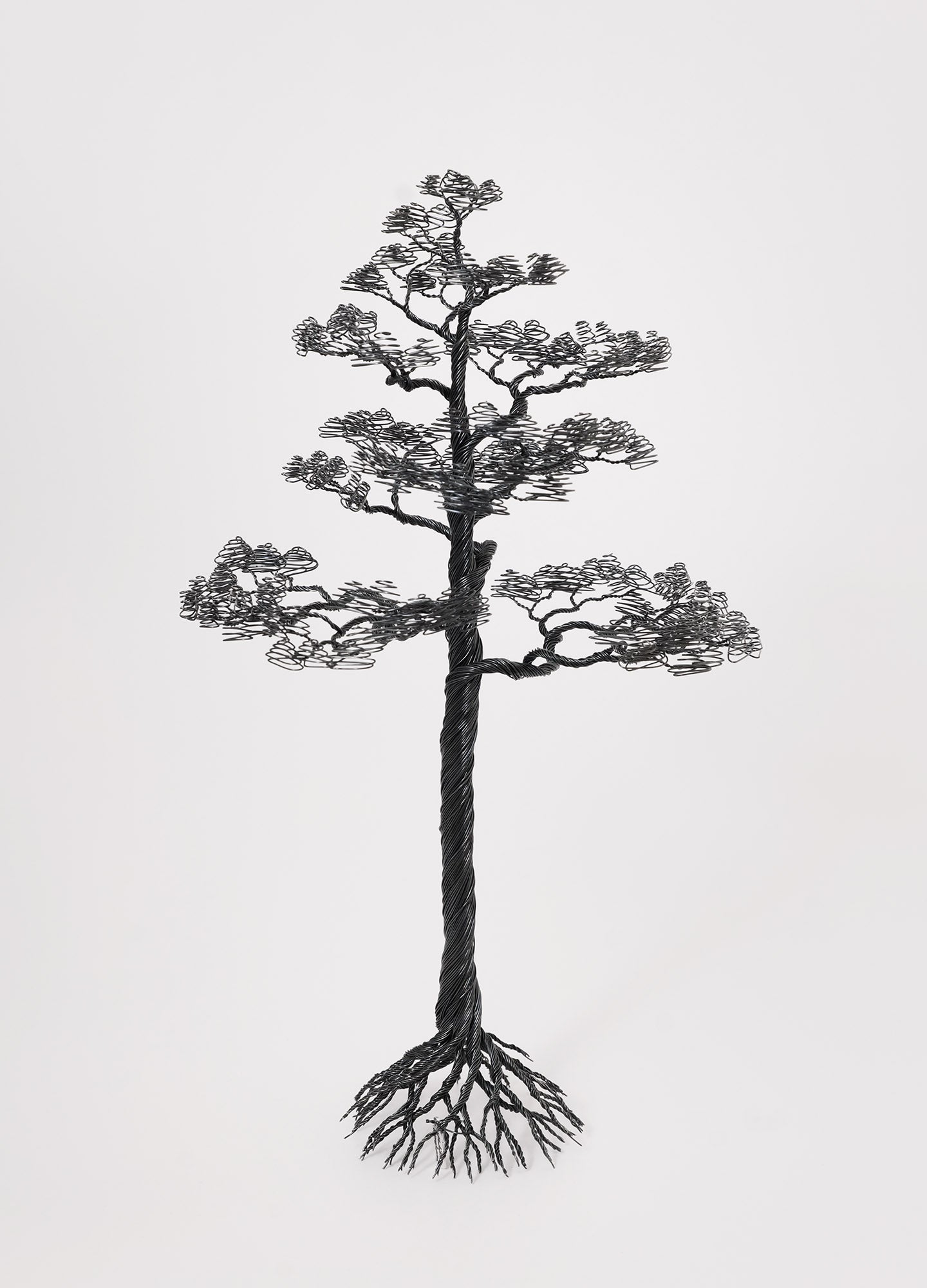 Pine - Black Annealed Iron Wire