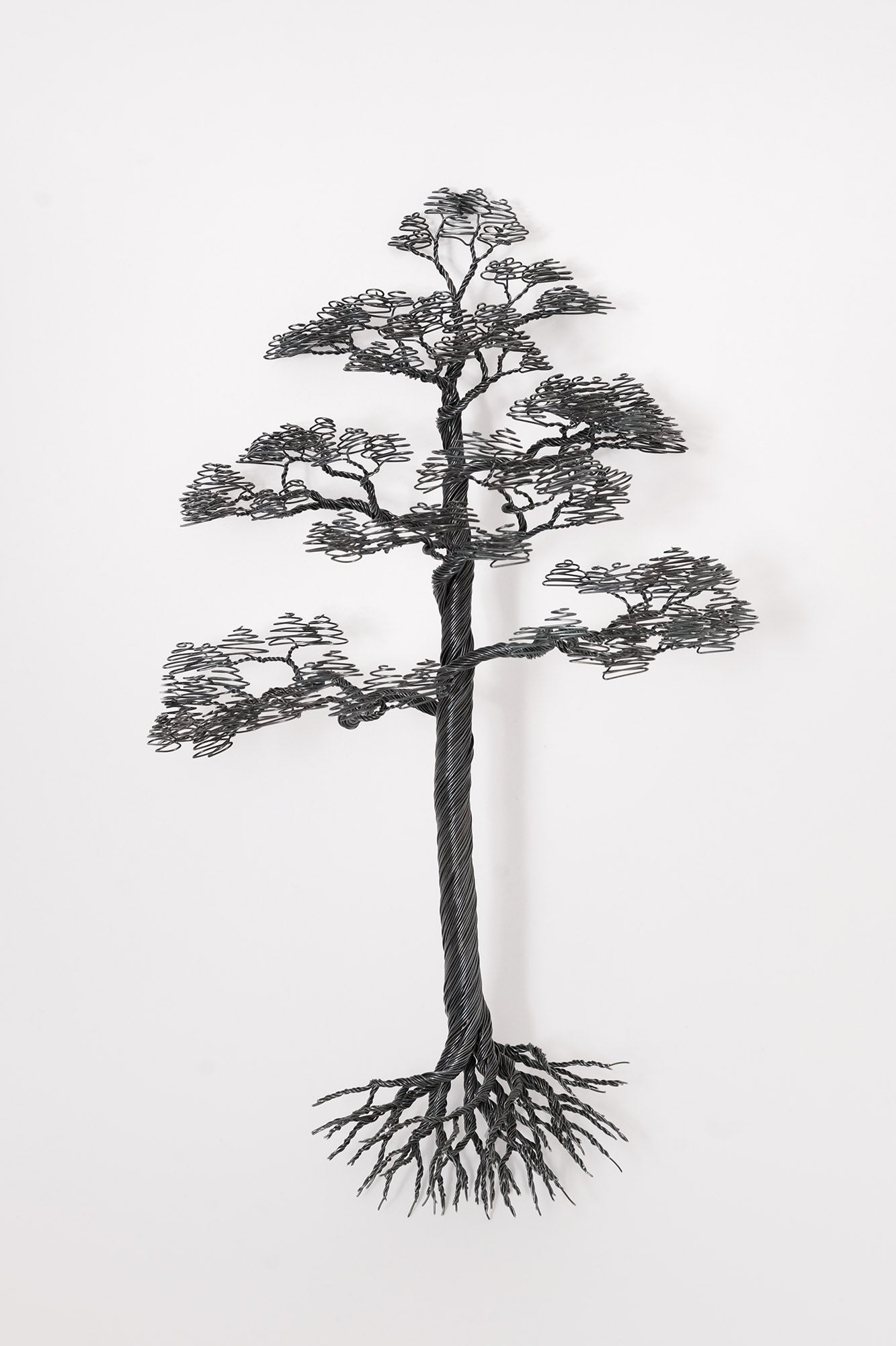 Pine (wall sculpture) - Black Annealed Iron Wire