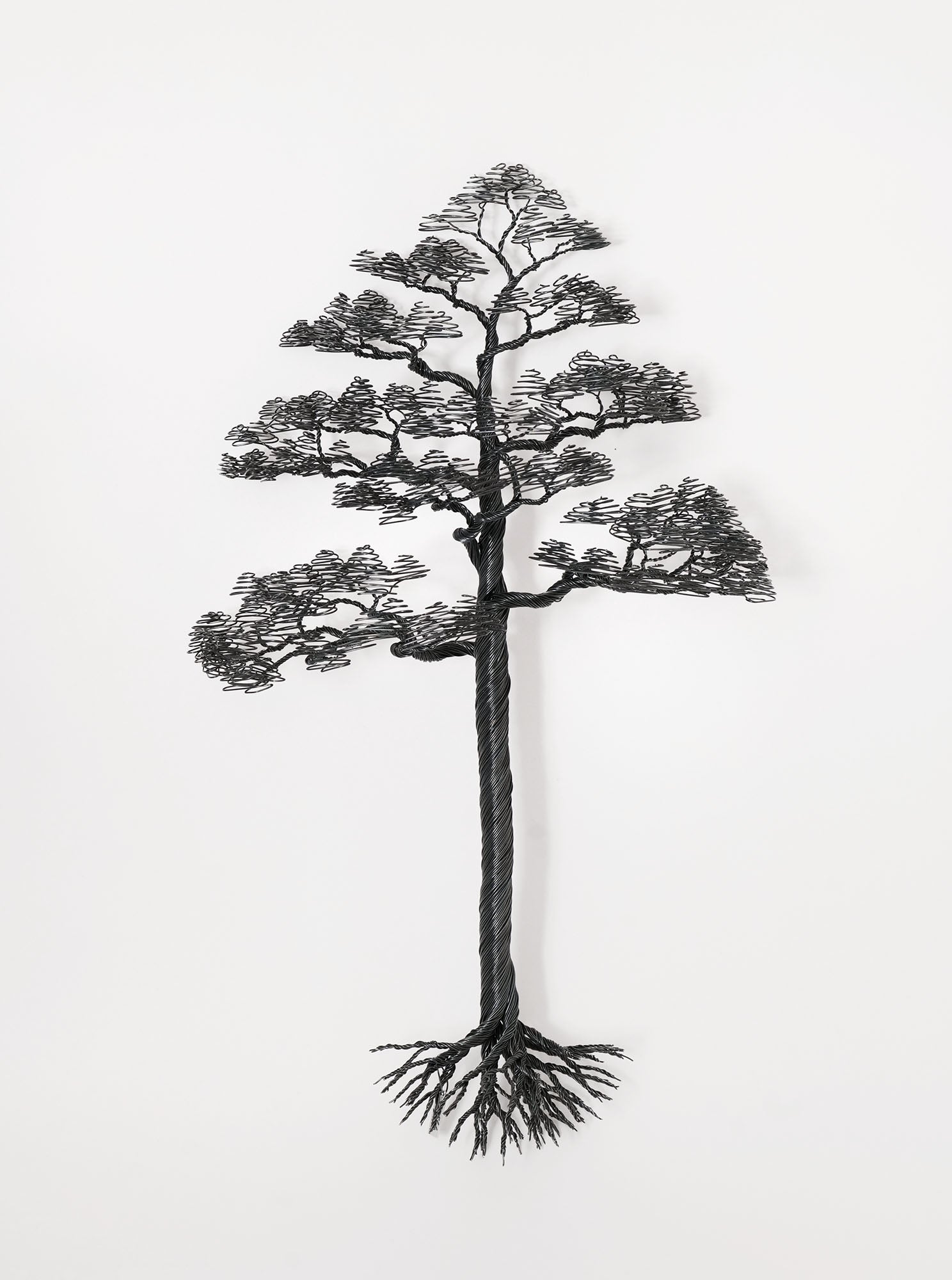 Pine (wall sculpture) - Black Annealed Iron Wire
