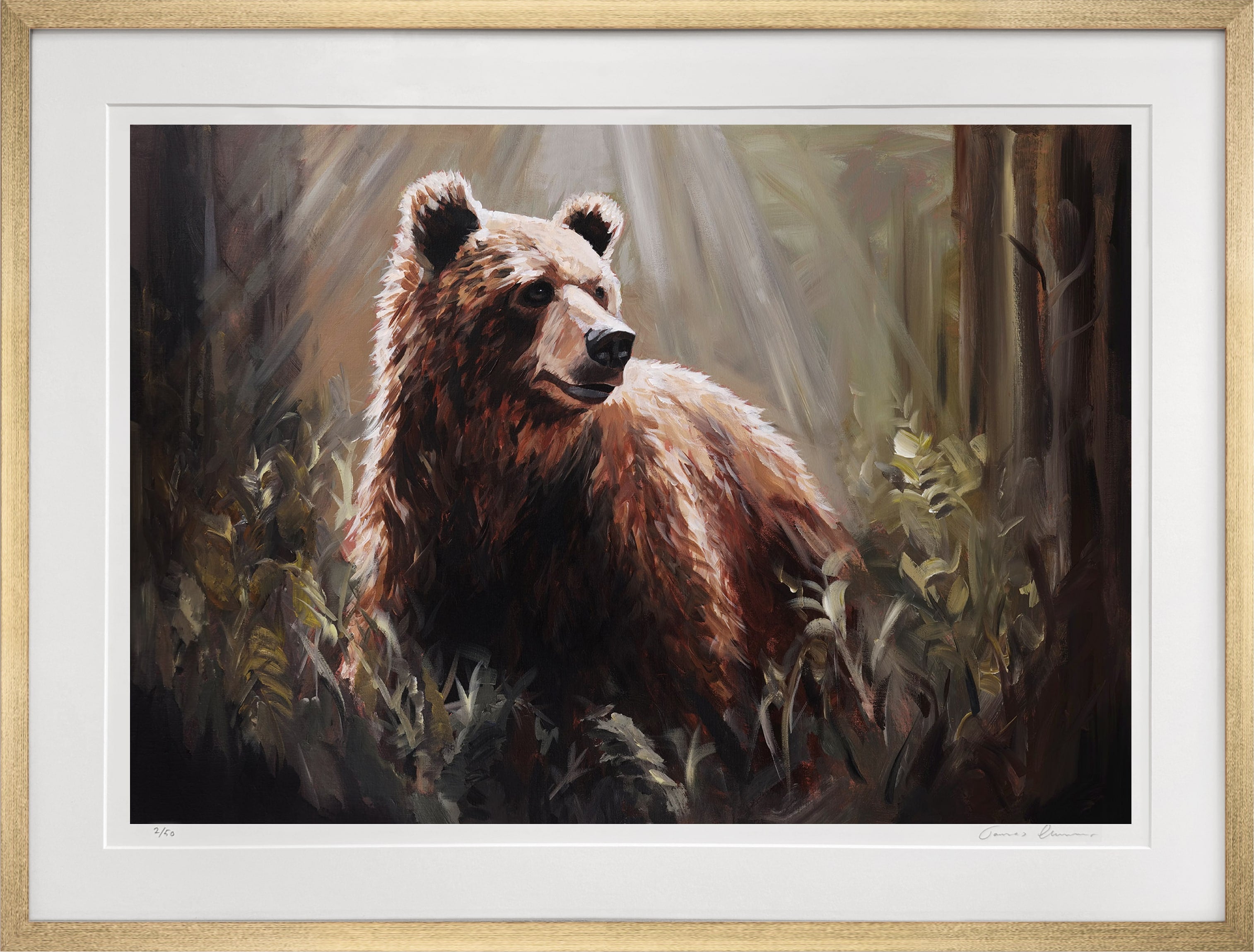 King of the Woods - Fine Art Print