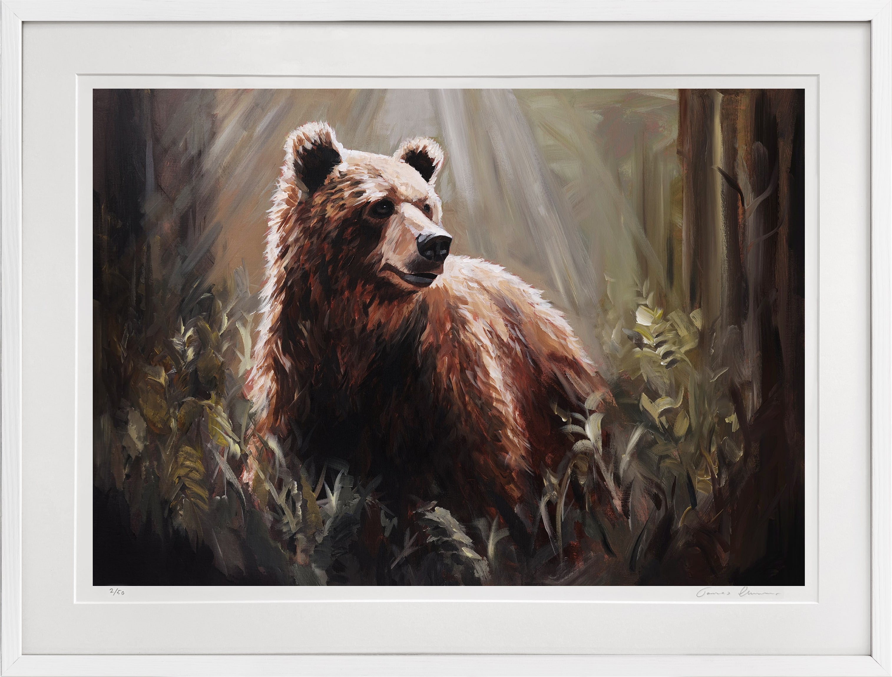 King of the Woods - Fine Art Print
