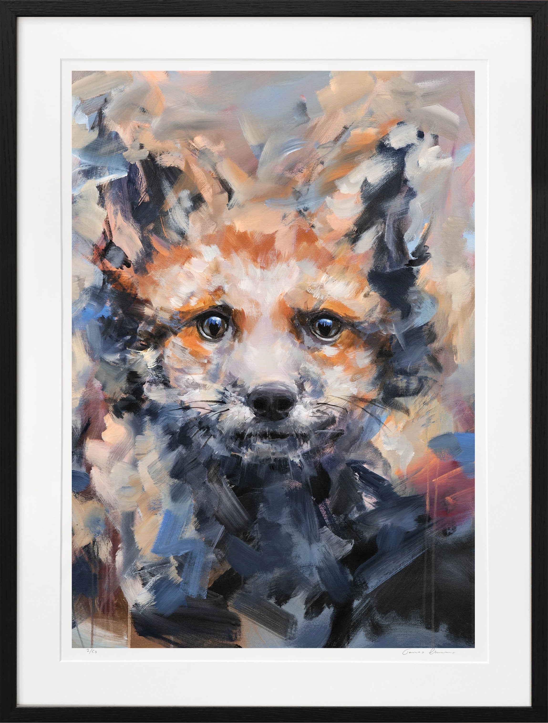 Fox Cub - Fine Art Print