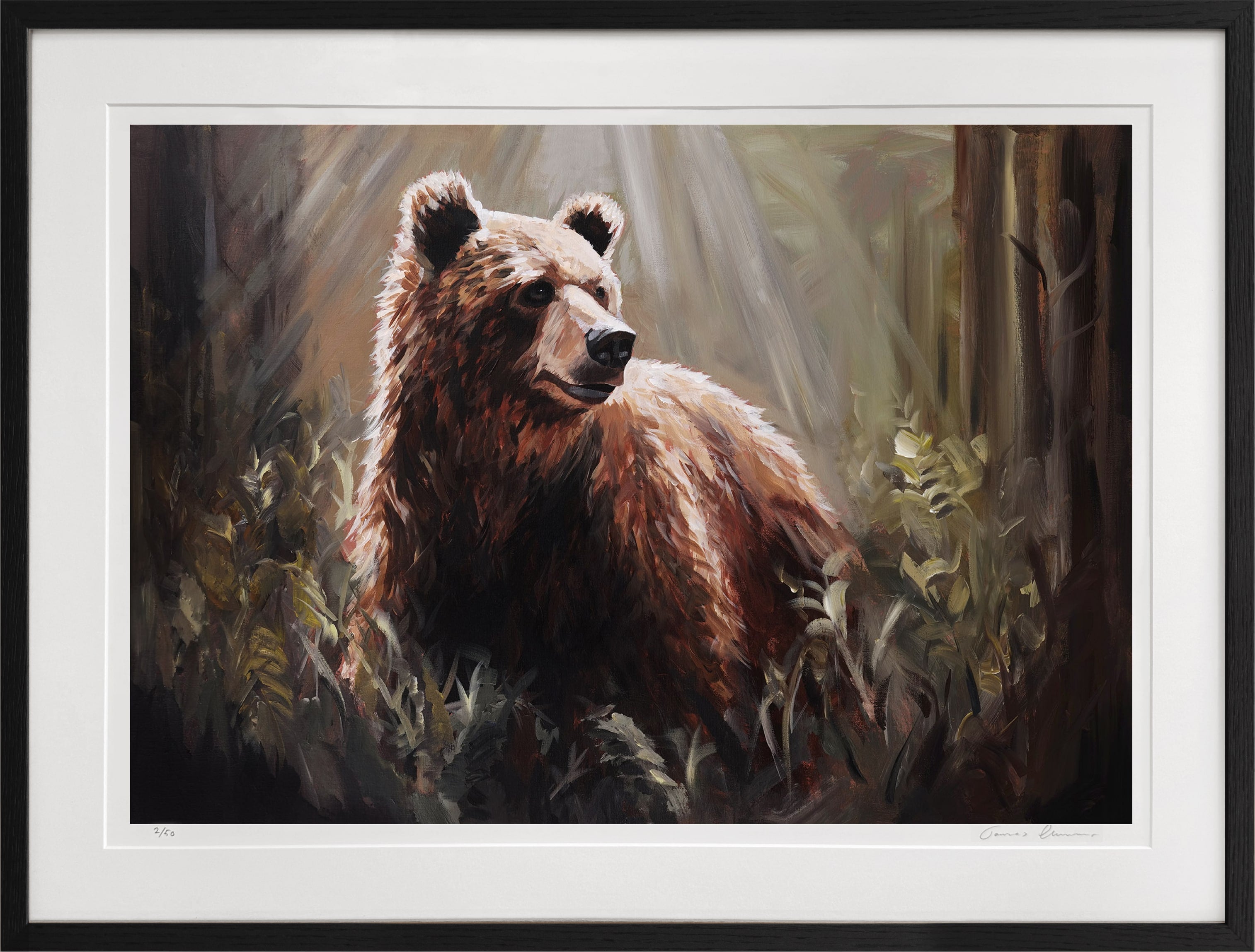 King of the Woods - Fine Art Print
