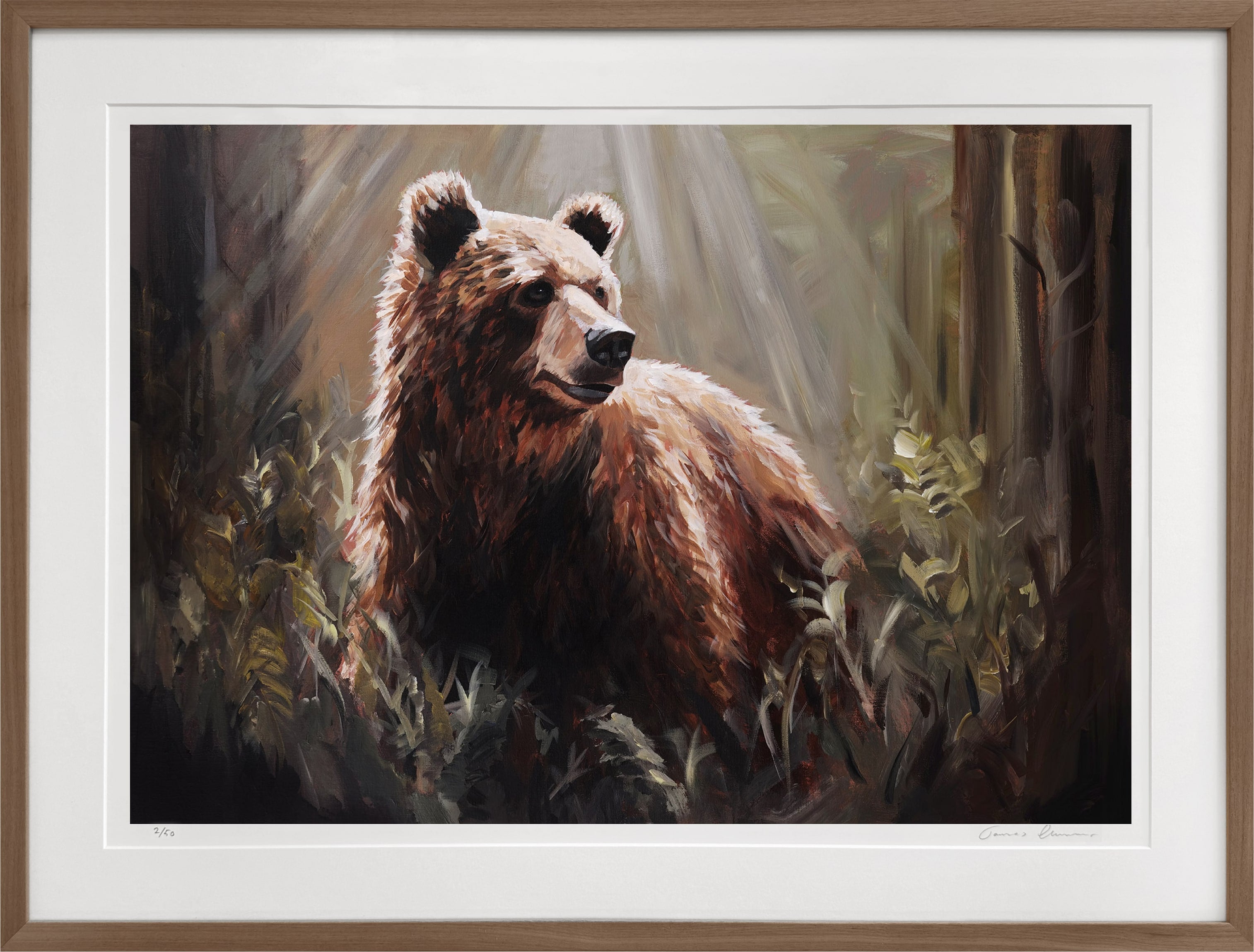 King of the Woods - Fine Art Print