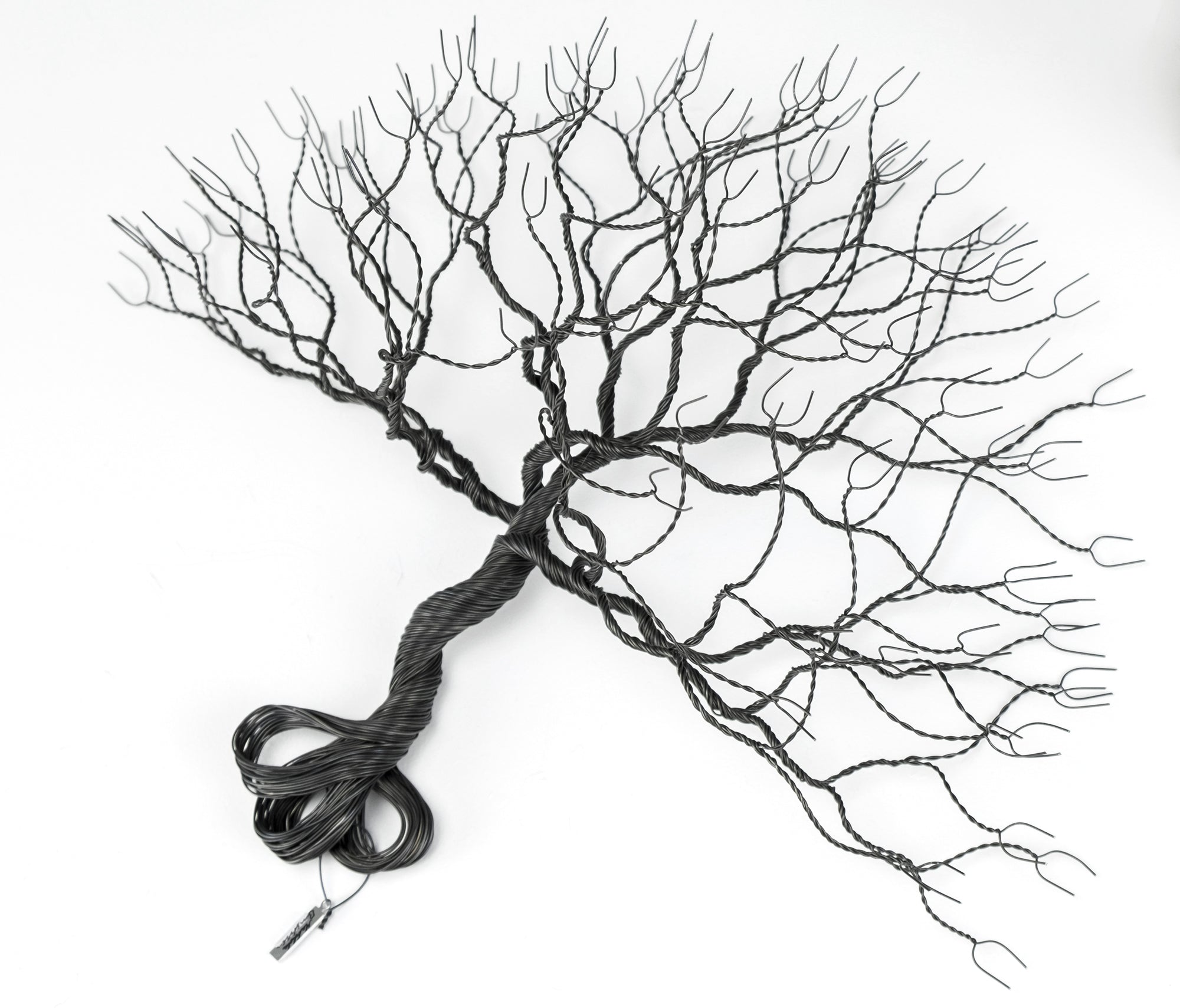 Grandfather's Oak (wall sculpture) - Black annealed iron wire