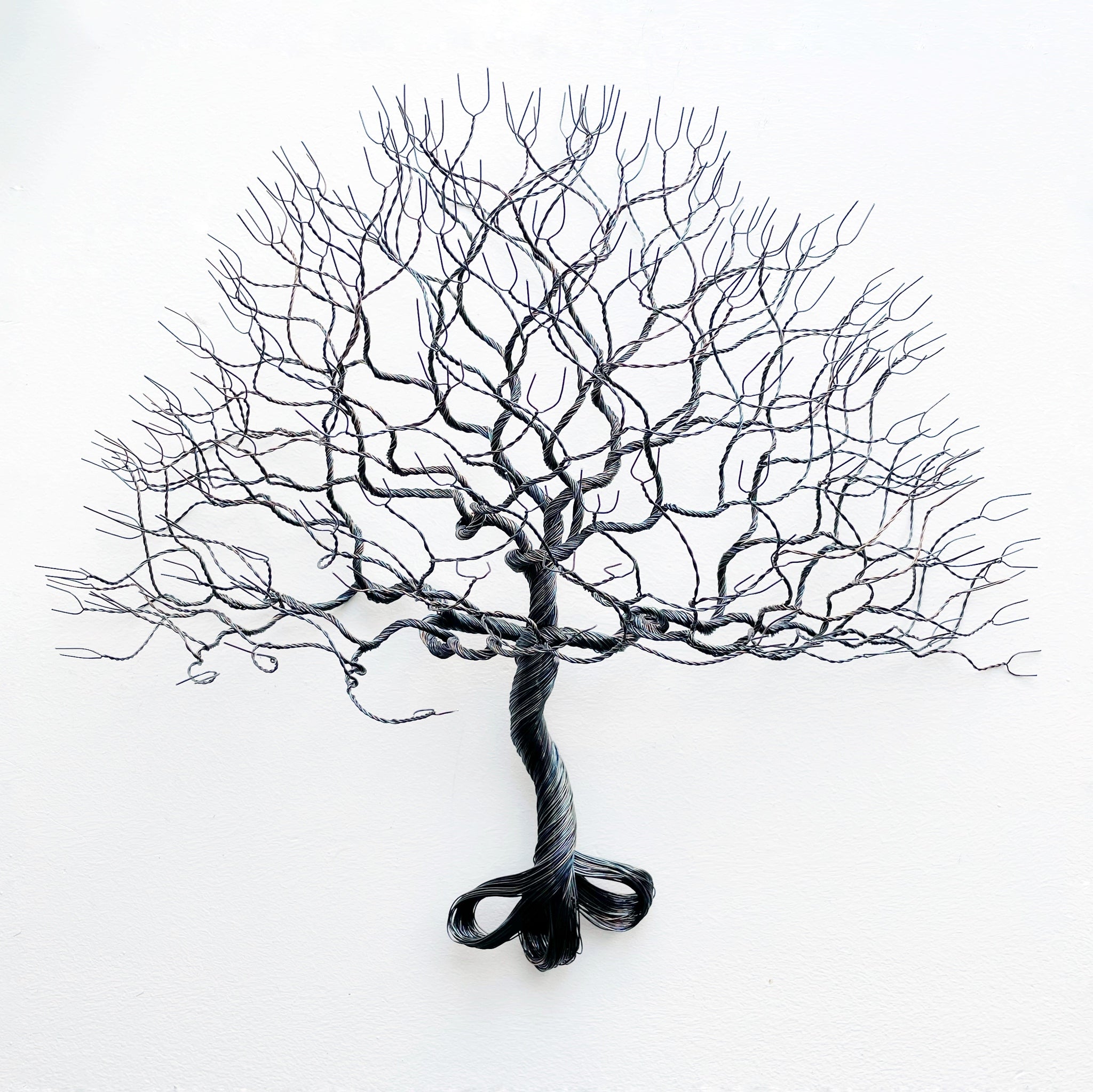 Grandfather's Oak (wall sculpture) - Black annealed iron wire
