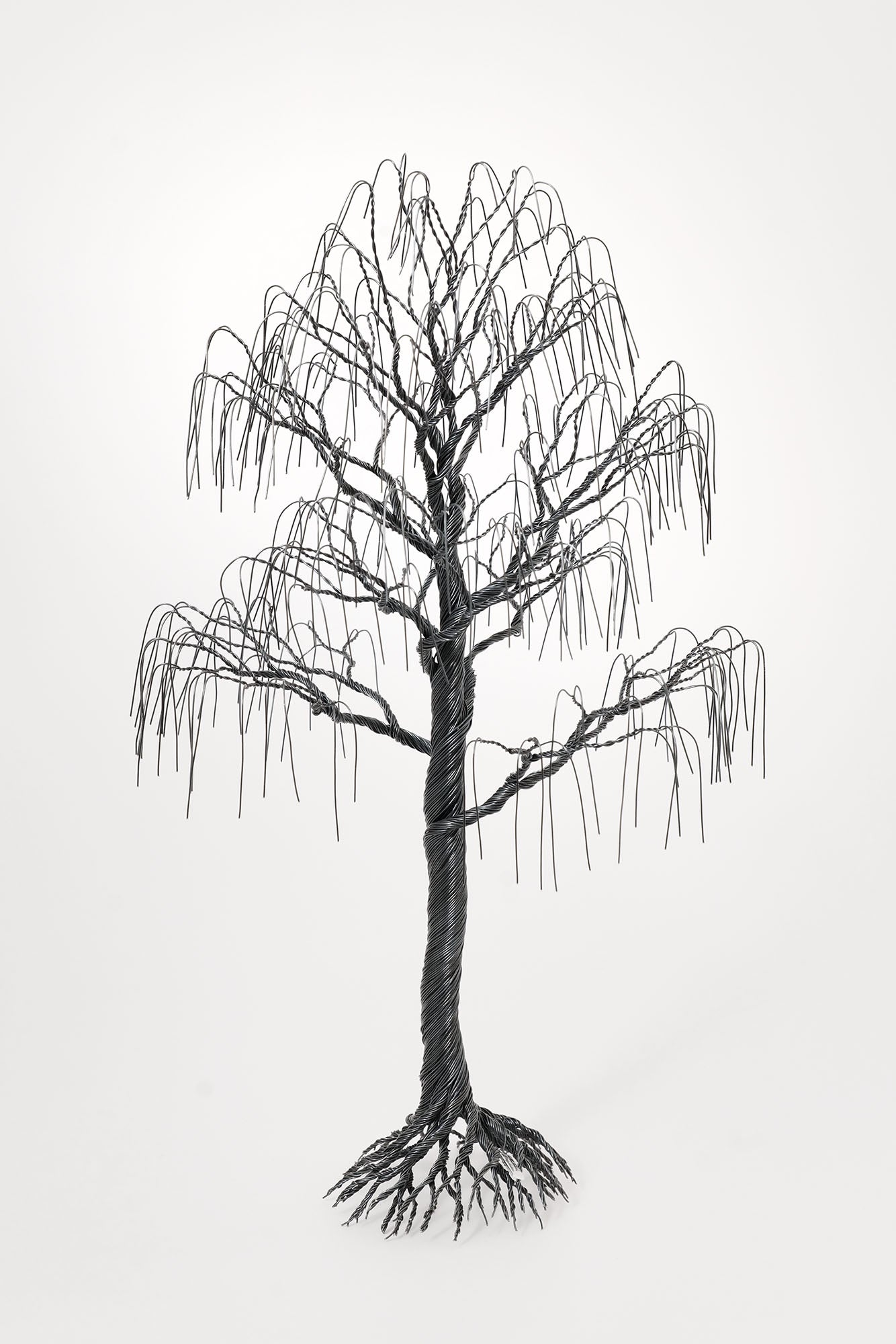 Björk (Birch Tree), Black Wire