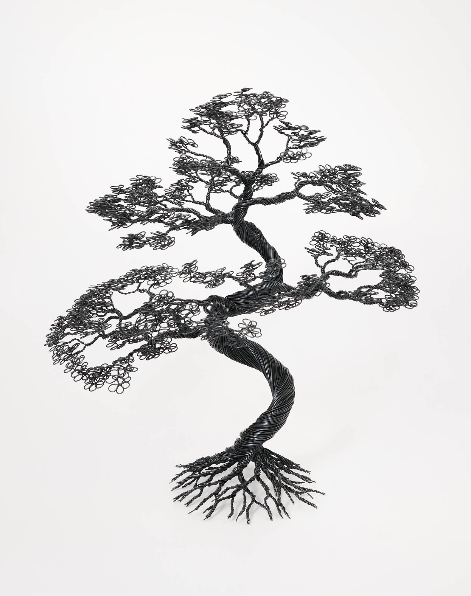 Bonsai tree - Black annealed iron wire