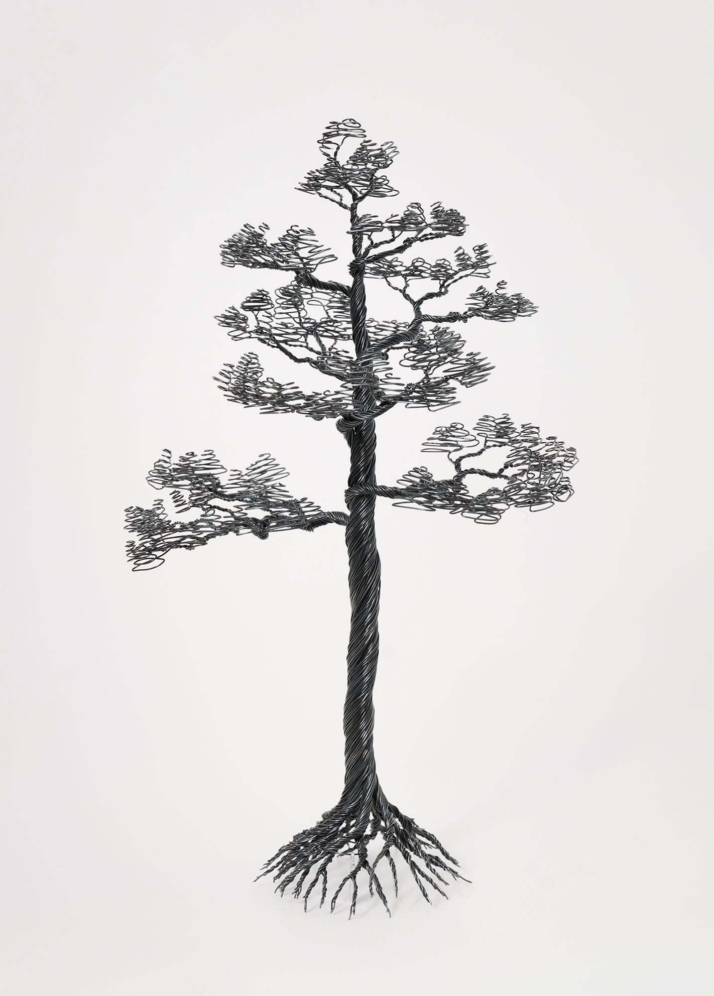 Tall (Pine Tree), Black Wire