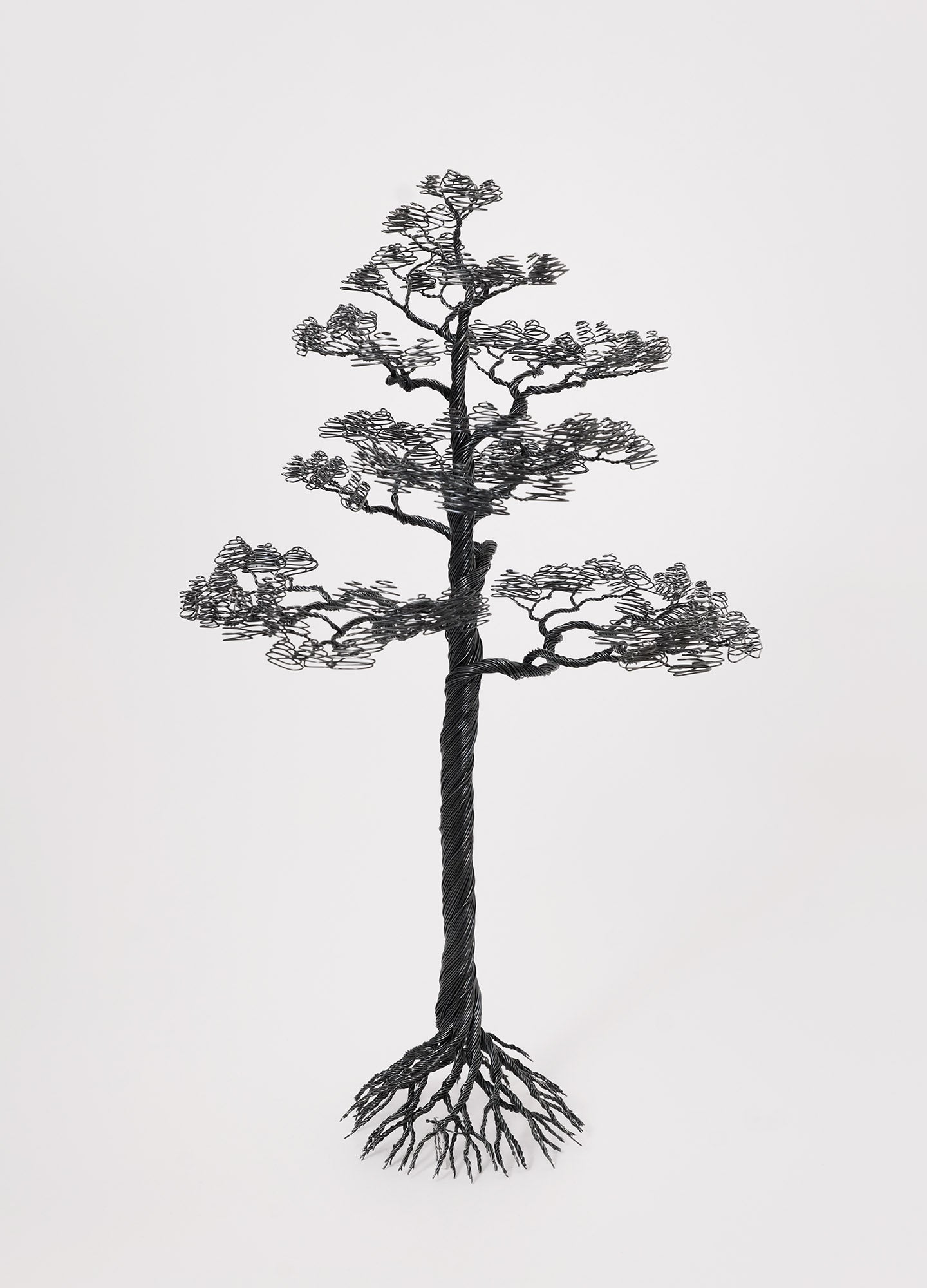 Pine Tree, Black Wire 